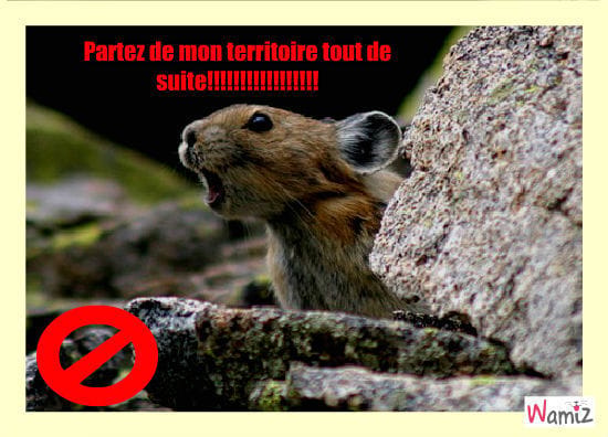 Concours de tooniz!!!