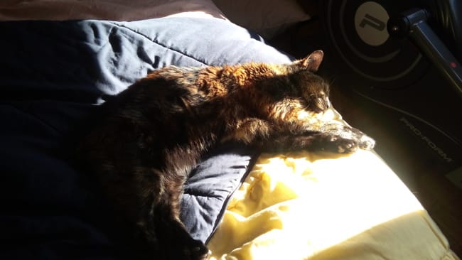 Anniversaire de ma Choupette!