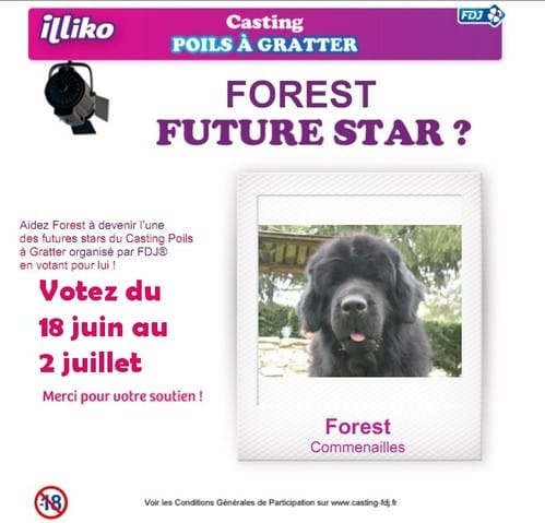 Forest participe à un grand casting