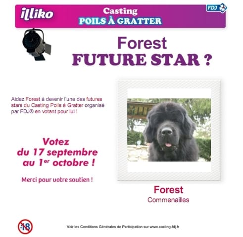 Forest participe au casting de la FDJ