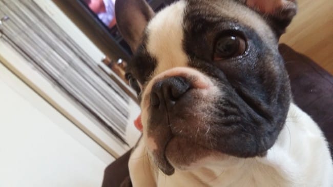 Rougeur au coin interne de l'oeil