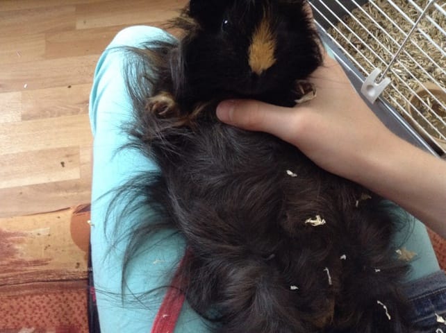 Grossesse de ma poupounette !!!