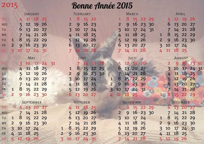 Je créé votre photo de profil , votre calendrier ou votre fond écran !
