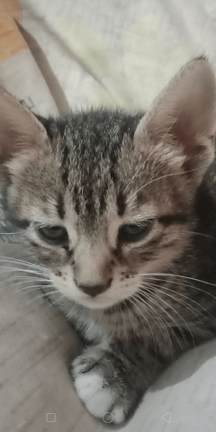 Cils dangereux pour l'oeil ?