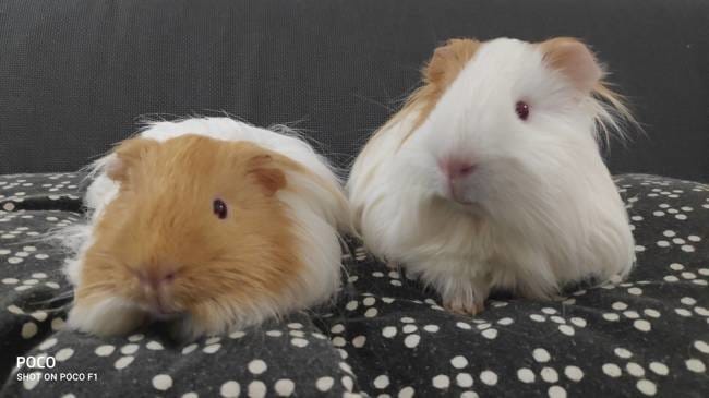 Bonjour à tous, je me présente !