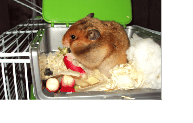 Est ce que vous la trouvez mimi ?