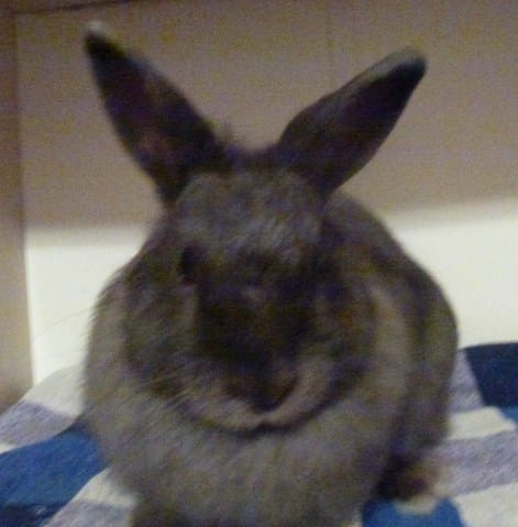 Je n'arrive plus a la porter !