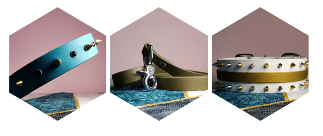 Colliers sur mesure pour chien et chat