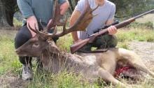 Espagne : la chasse au patrimoine culturel immatériel de l'humanité .... oui .... oui ....