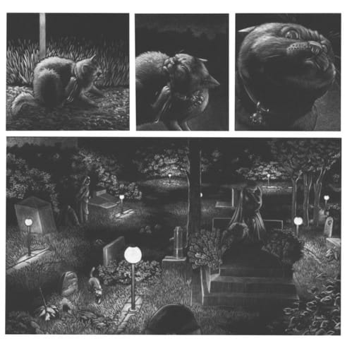 Une belle bande dessinée de chat !