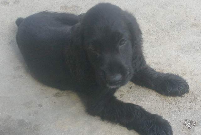 Depuis le 22 decembre 2006...♥