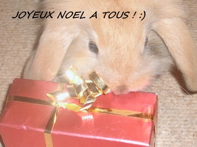 Galipette ; Son poste ! ♥ ;D