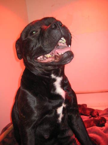 Heureux évènement aujourd'hui pour Gibusse!^^