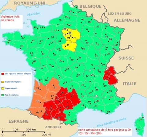 Attention vols de chiens !!!