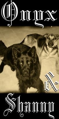 Montage photo