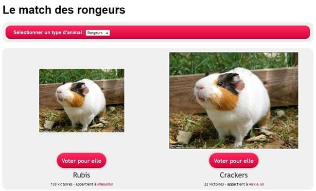 A propos des photos des animaux