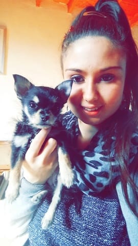 Comment gérer les émotions de mon chien?