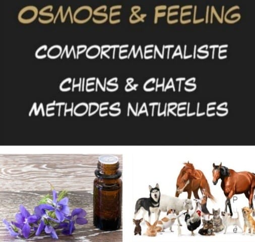 Aromatherapie soigner son animal méthode naturel