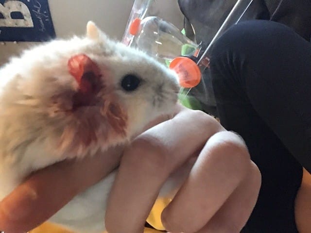 aider moi vite svp .