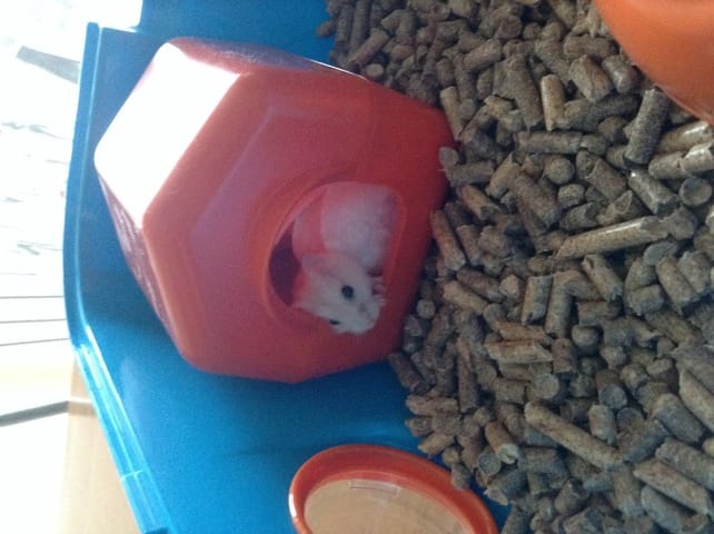 Bienvenue petit Perry