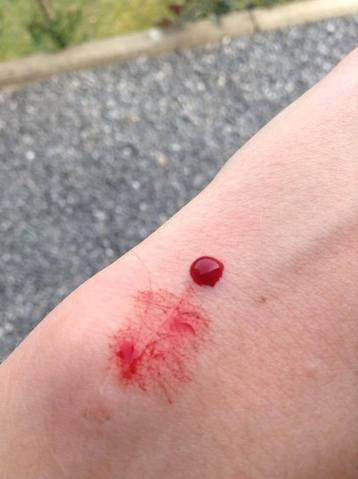 Des nouvelles des petits monstres.