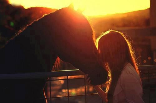 C'est en écoutant la réspiration du cheval que le cavalier se sent a l'aise