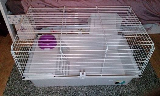 Cage avec équipement complet - urgent !!!