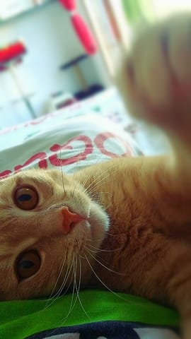 Encore un concours photo ! Mais avec un nouveau thème.