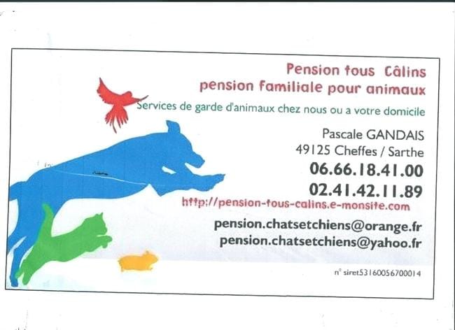 pension familiale pour animaux