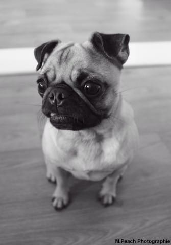 Bonjour je vous présente Yumi