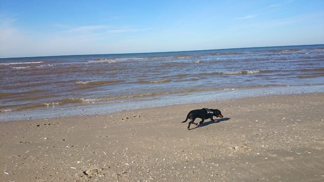 Apprendre à marcher au pieds