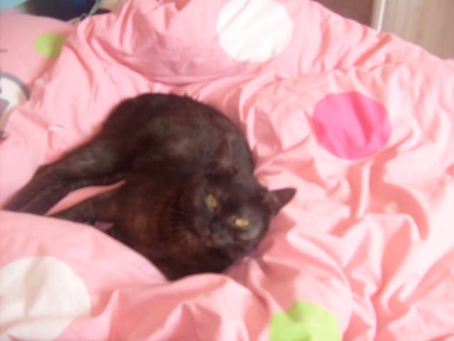 c'est mon anniversaire 