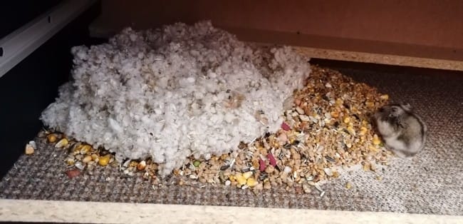 nourriture, bonne ou pas ???