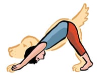 Pourquoi mon chien se met dans cette position?