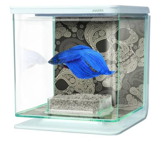 Aquarium 2L pour un Betta