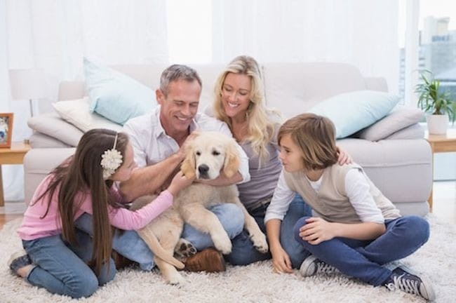 Vos habitudes en matière de shampoing pour chien