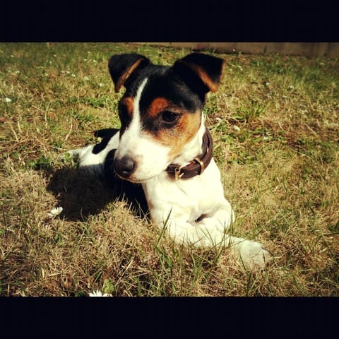 Moi c'est Gaston et j'me la pète au soleil !