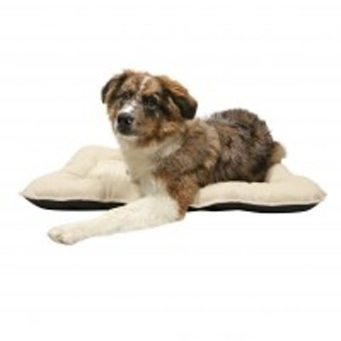 Panier pour chiot