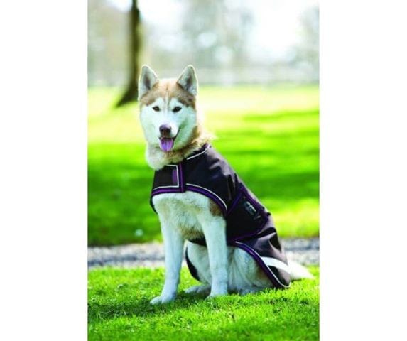 Manteaux de pluie pour chiens