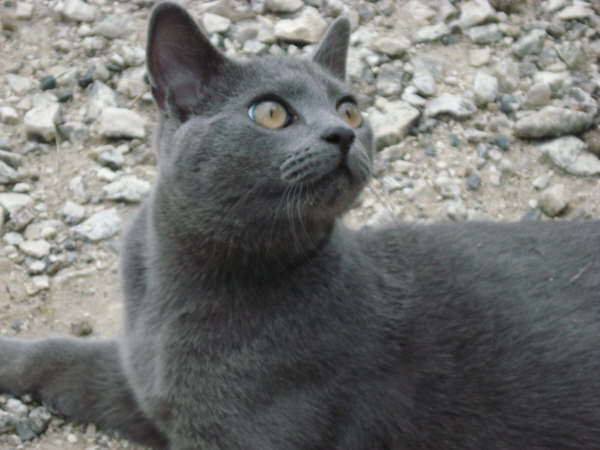 Ely a de gros ganglions ...