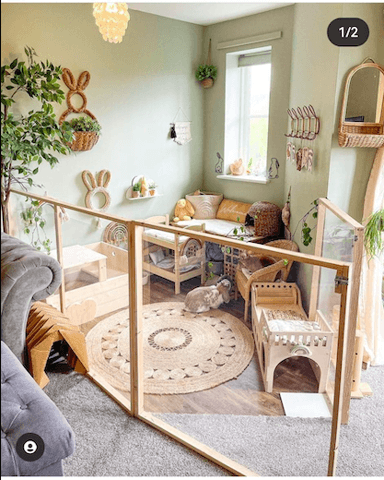 Savez-vous si je peux trouver des barrières de lapin dans ce style ?