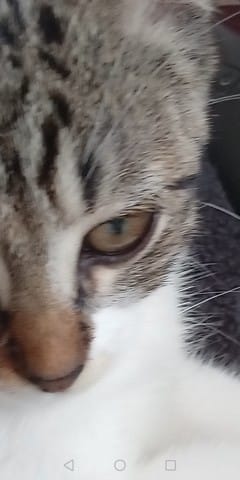 Changement de couleur d'oeils