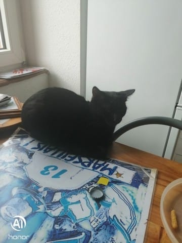 pipi au lit occasionnel