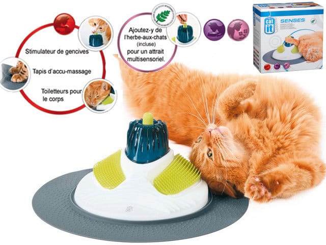Massage pour chat
