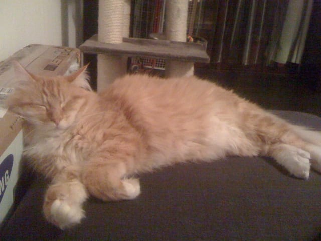 Changement de place des meubles et ça ne plait pas