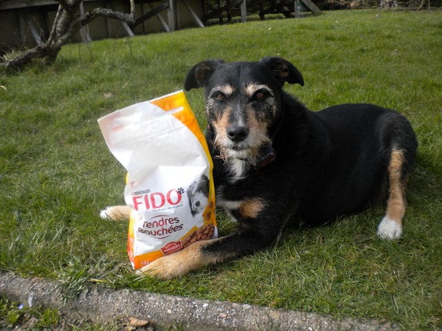 Tom gagnant FIDO !!!
