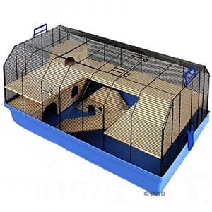 avis sur une cage