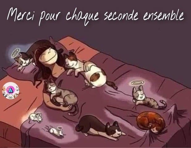 Tout simplement… 😉🐶🐱🐭🐹🐰et tout les autres…