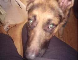 VOTEZ!!! concours bouille de malheureux :)