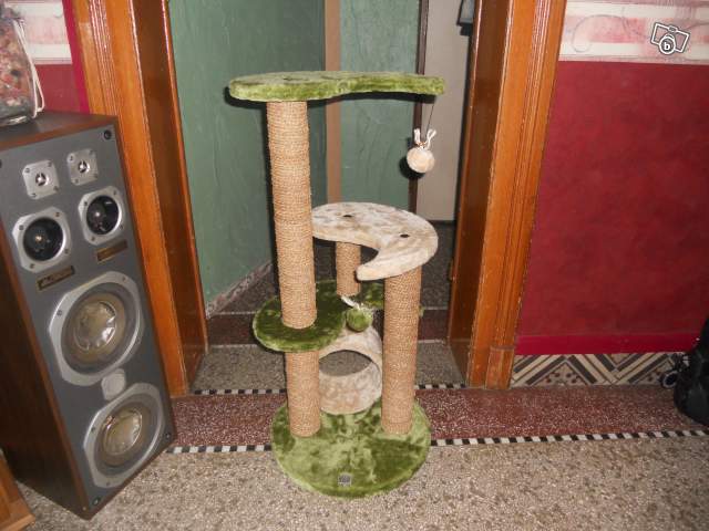 Un autre arbre à chat 
